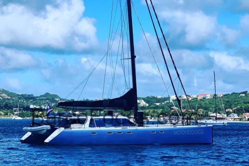 Gunboat 66 avaliação e ficha técnica